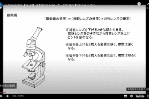 Delta College クラス一覧